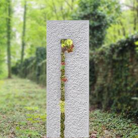 Modernes Einzelgrabmal mit vertikaler Bepflanzung -...
