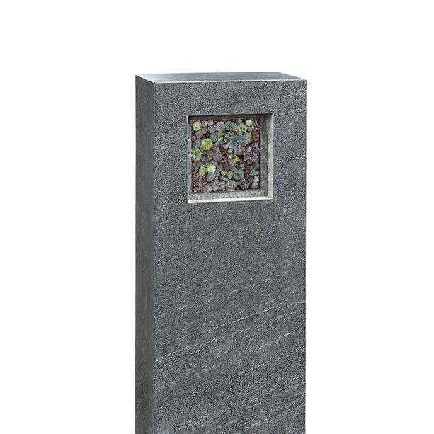 Kindergrab Grabdenkmal in Granit mit Sukkulationswand Bepflanzung - Geneviève Flora