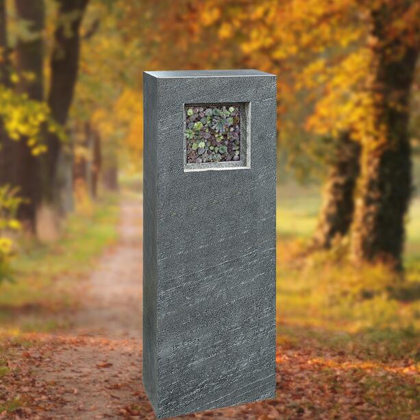 Urnengrab Grabdenkmal in Granit mit Sukkulationswand Bepflanzung - Geneviève Flora