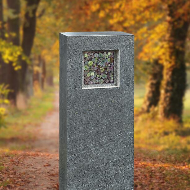 Einzelgrab Grabdenkmal in Granit mit Sukkulationswand Bepflanzung - Geneviève Flora