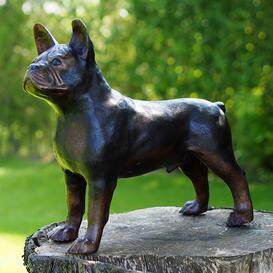 Stehende Bulldogge aus Bronzeguss in Lebensgre -...