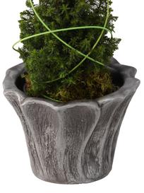 Kunstvolle klassische Pflanzschale - Soram / Aluminium