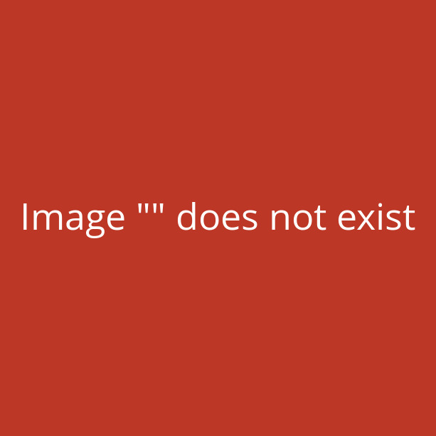 Besonders sch�nes Grabmal mit Bl�ttern kaufen - Rosso
