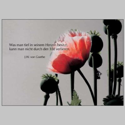 Trauerkarte mit dem Motiv Mohnbluhmen © Kartenkaufrausch