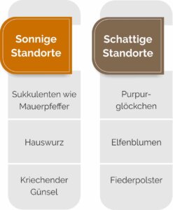 Auswahl an pflegeleichten Grabpflanzen für sonnige, sowie schattige Standorte. 