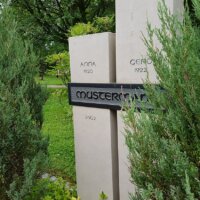 Grabstein Koniferen