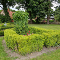 Grab Hecke