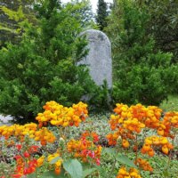 Grabgestaltung mit leuchtend orangefarbener Bepflanzung