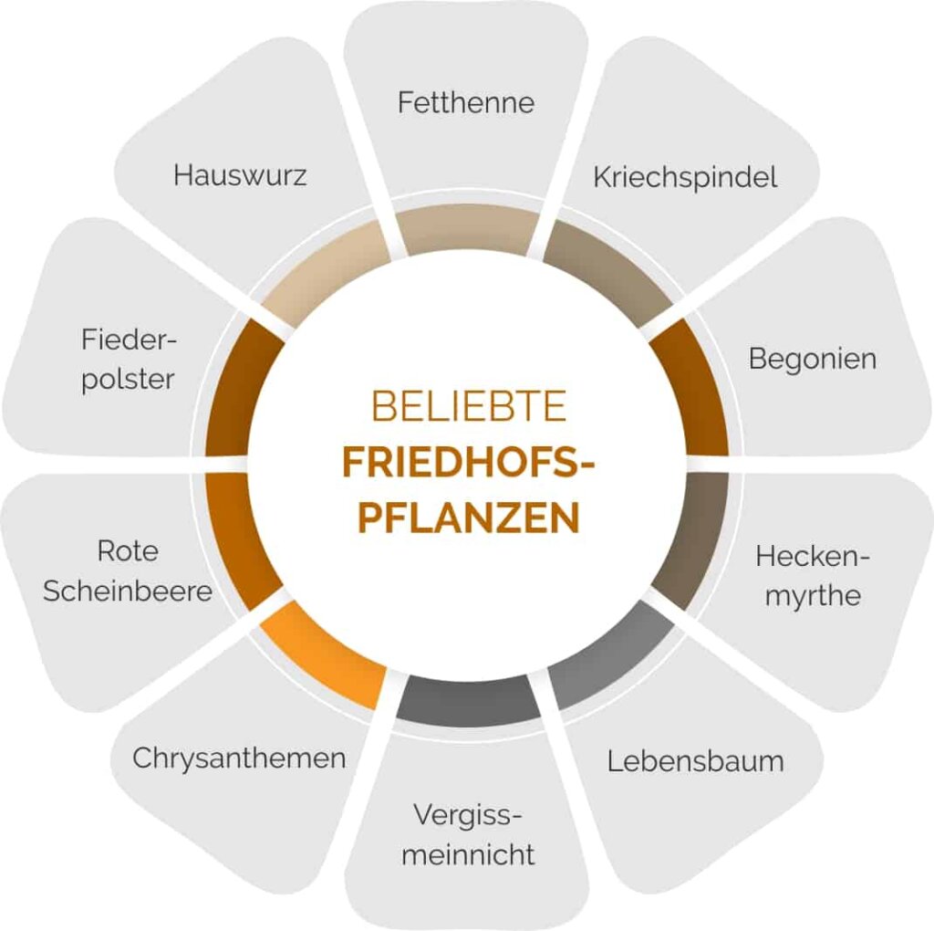 Top 10 der beliebtesten Friedhofspflanzen