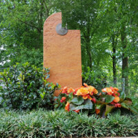 Begonien und Grünpflanzen