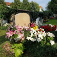 Die Lilie ist die Blume der Hoffnung