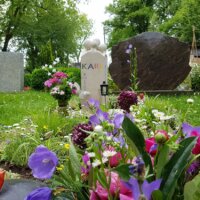 Glockenblumen und Pflingstrosen im harmonischen Zusammenspiel