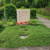 Immergrüne Bodendecker sind pflegeleicht