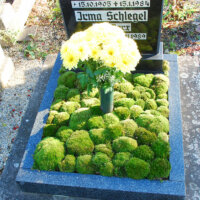 Moos und ein Blumenstrauß als Farbtupfer