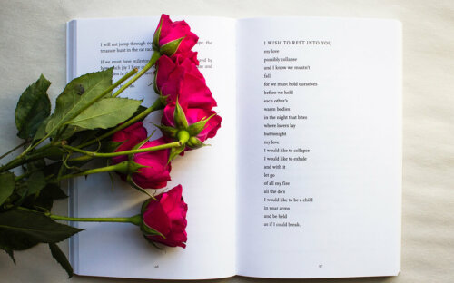Trauergedichte finden ▷ Top-50 Gedichte zu Tod & Abschied